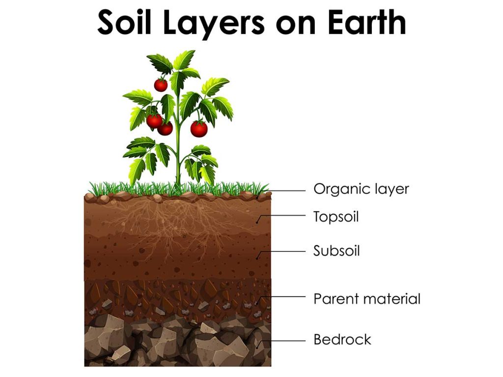 Alam-alzuhoor-Soil-Improvement-&-Conditioning-01