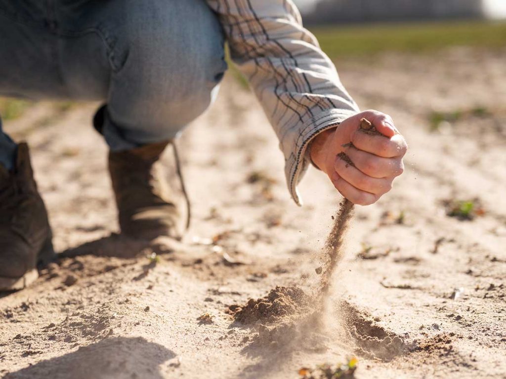 Alam-alzuhoor-Soil-Improvement-&-Conditioning-03